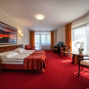 Pokój typu comfort z łóżkiem king-size